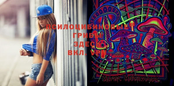 прущая мука Михайлов