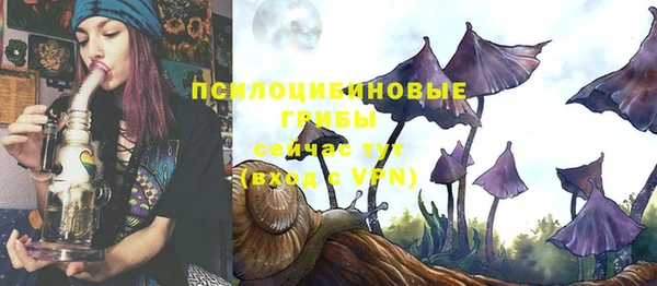 прущая мука Михайлов