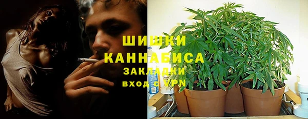 прущая мука Михайлов