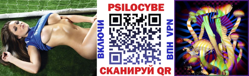 Псилоцибиновые грибы Cubensis  Межгорье 